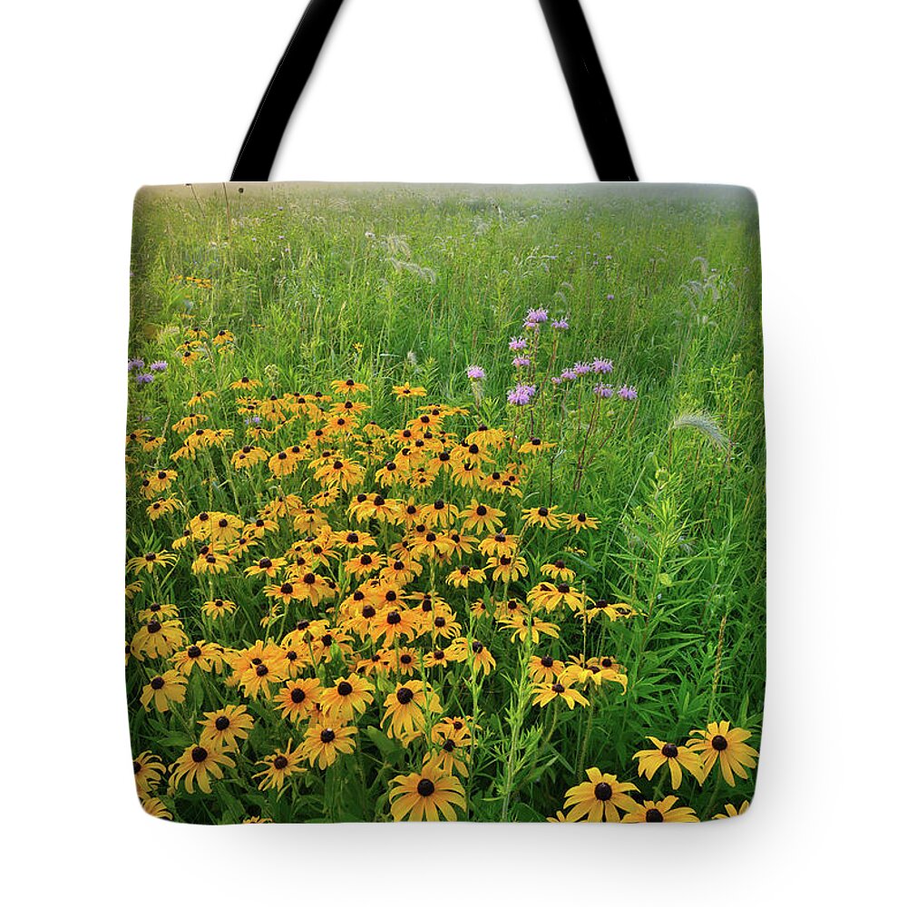 Glacial Park Tote Bag featuring the photograph Wildflowers of West Glacial Park at Sunrise by Ray Mathis