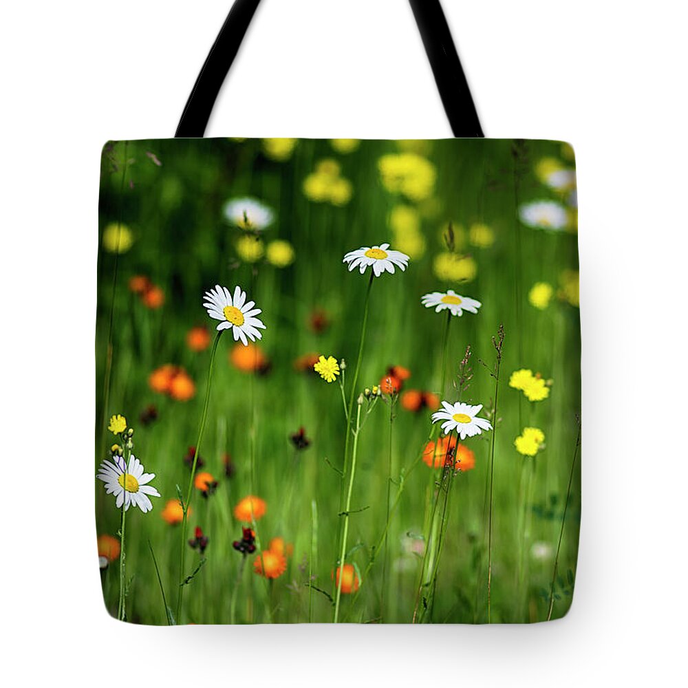  Tote Bag featuring the photograph Wildflowers2 by Dan Hefle