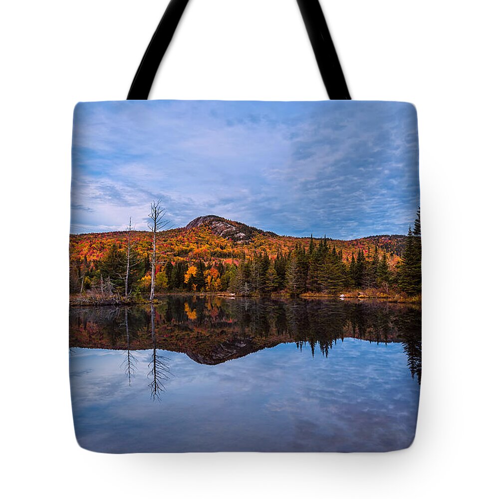 Autumn Tote Bag featuring the photograph Wildlife Pond Autumn Reflection by Jeff Sinon