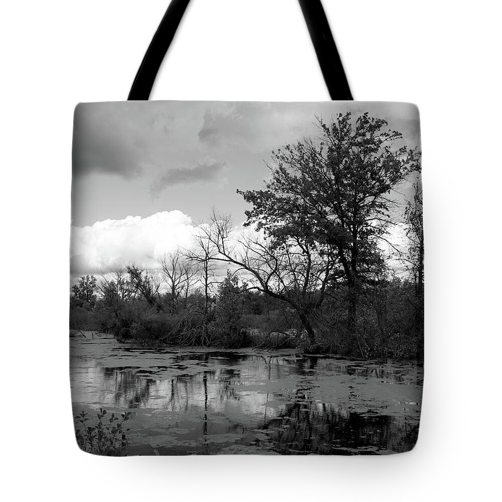 Water Tote Bag featuring the photograph Wilds Along the Channel by Scott Kingery