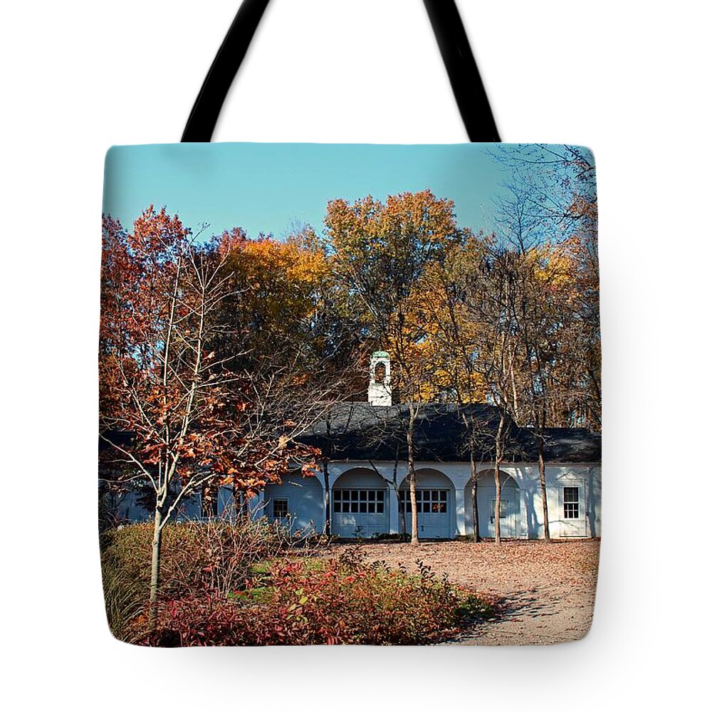 Autumn Tote Bag featuring the photograph Wildwood in the Fall by Michiale Schneider