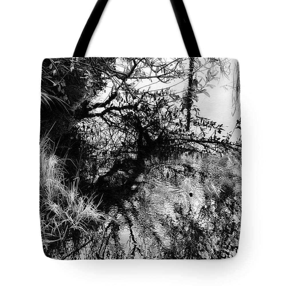 Black And White Tote Bag featuring the photograph Will-o-de-Wisp - Limited Edition Available 1 of 25 by Lauren Leigh Hunter Fine Art Photography