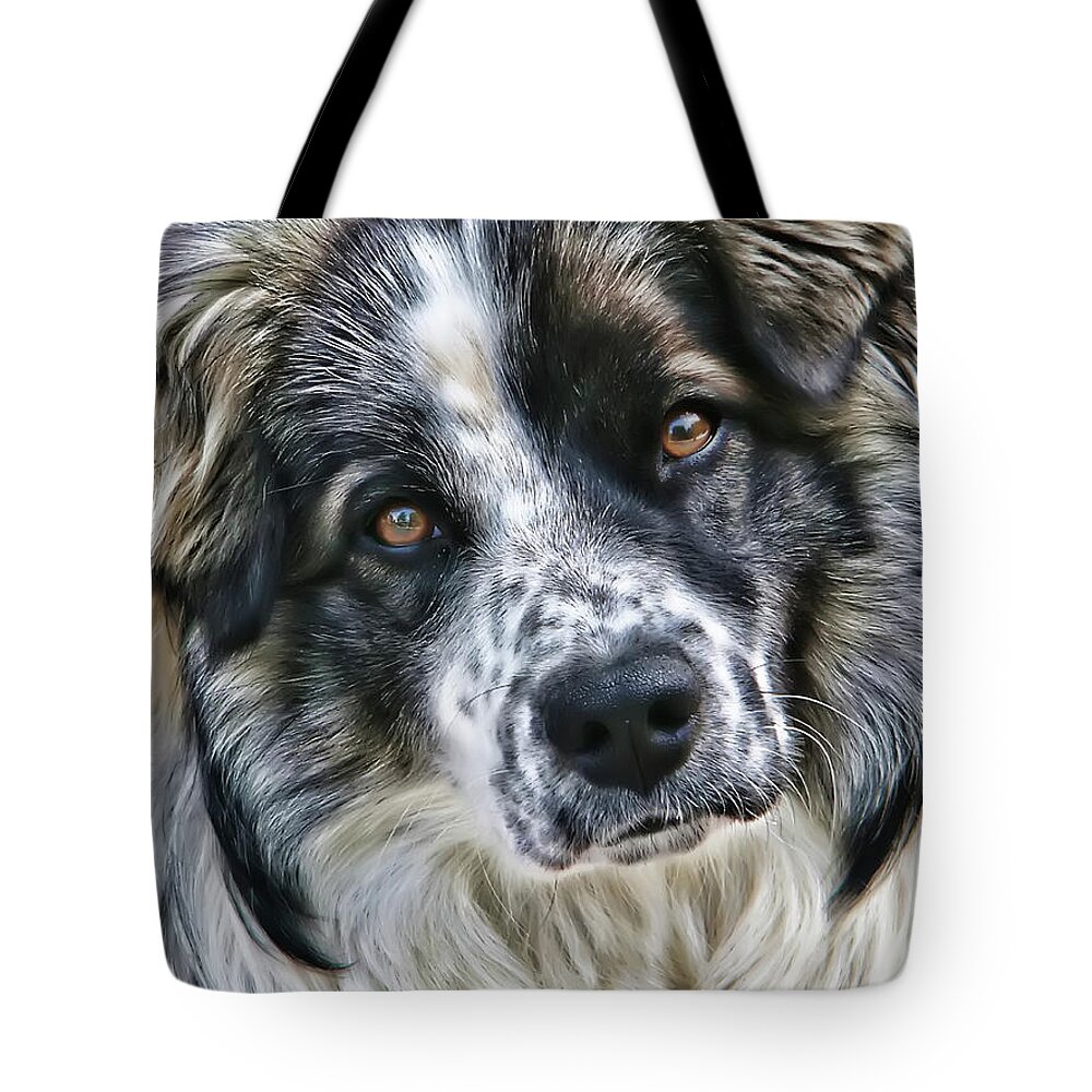 Animal Tote Bag featuring the photograph Will You Be My Friend by Rhonda McDougall
