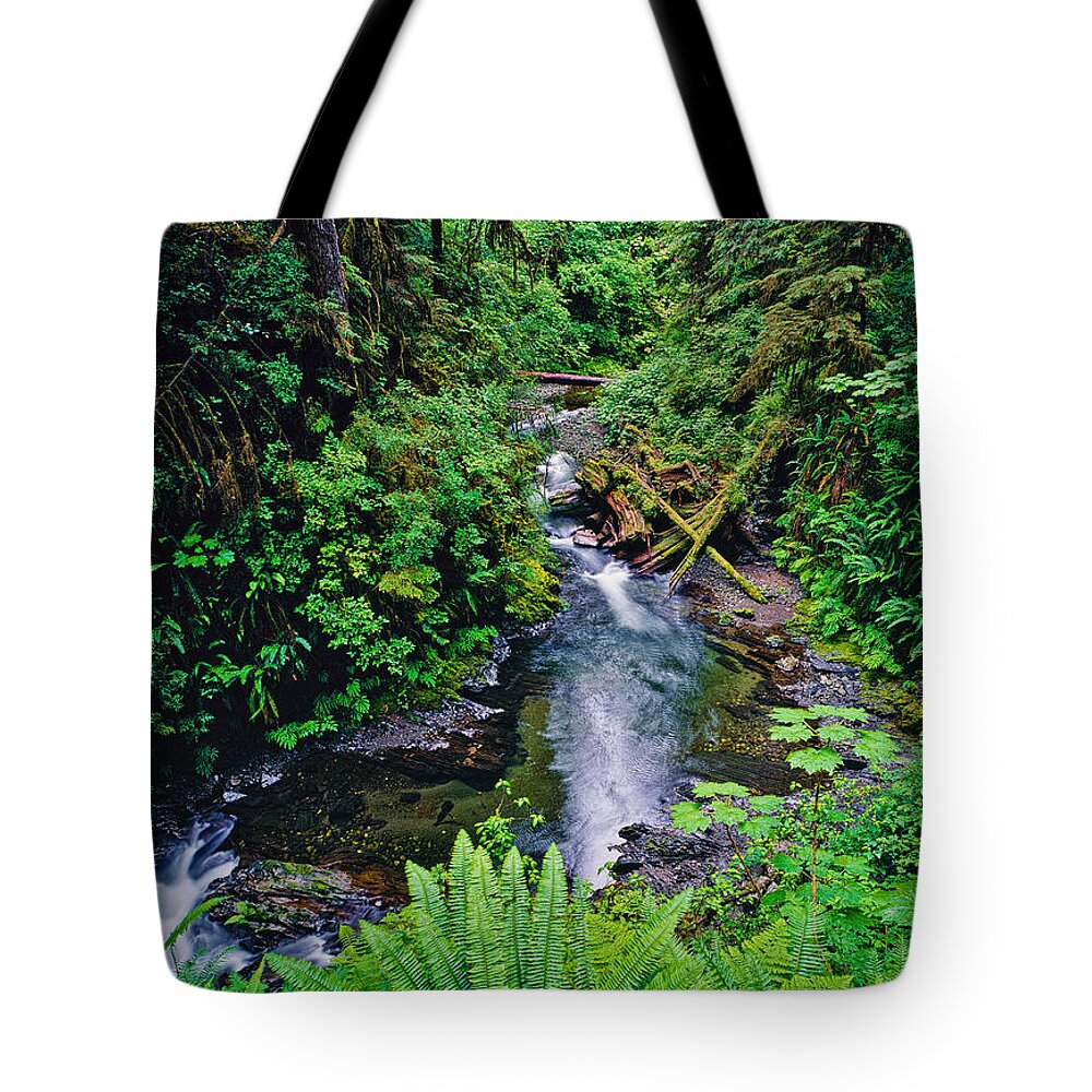 Willaby Creek Tote Bag featuring the photograph Willaby Creek 1993 by Tim Rayburn