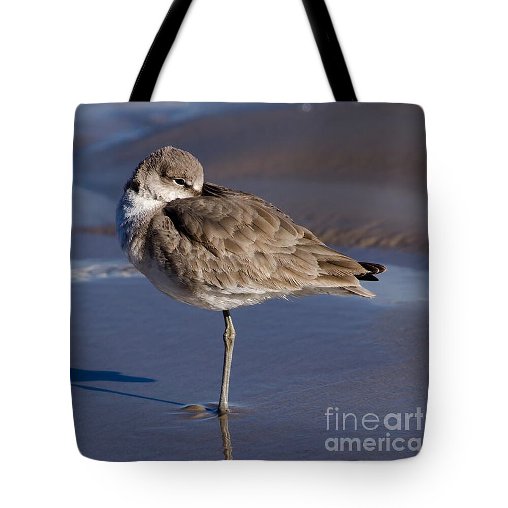 Willet Resting At The Beach Tote Bag featuring the photograph Willet Resting at the Beach by Debra Martz