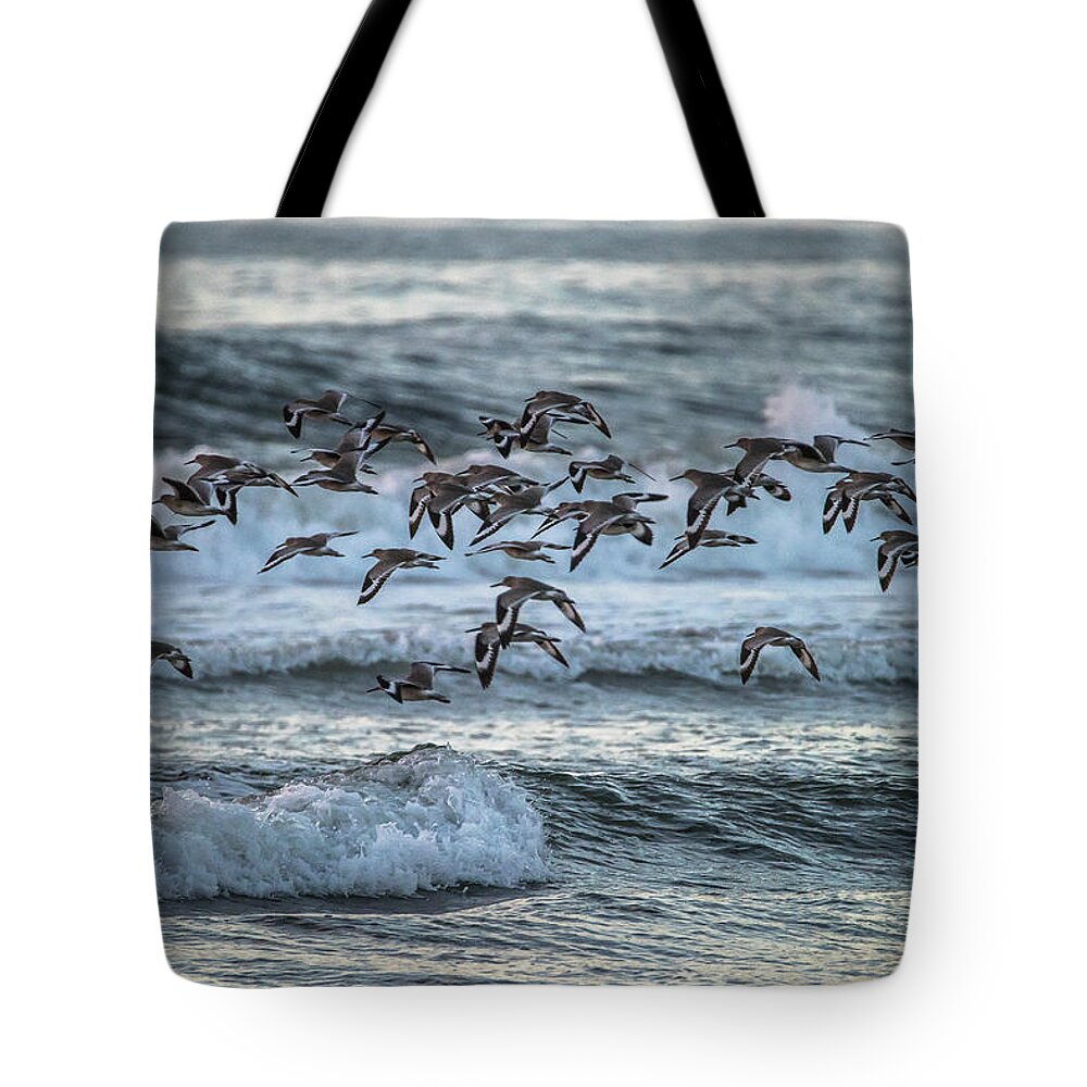 California Central Coast Tote Bag featuring the photograph Willets On the Wing by Bill Roberts