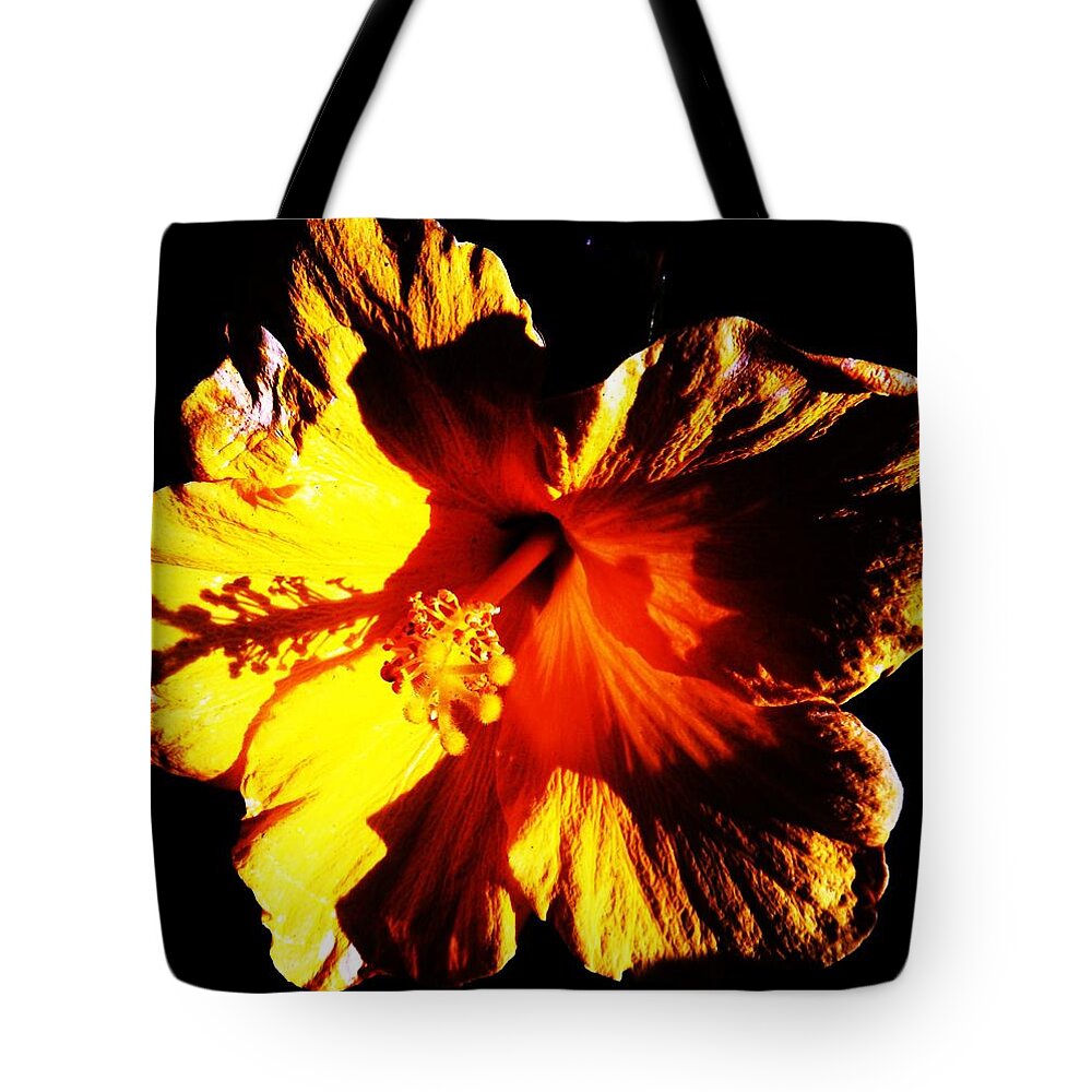 Yellow Tote Bag featuring the photograph Willful by Daniele Smith