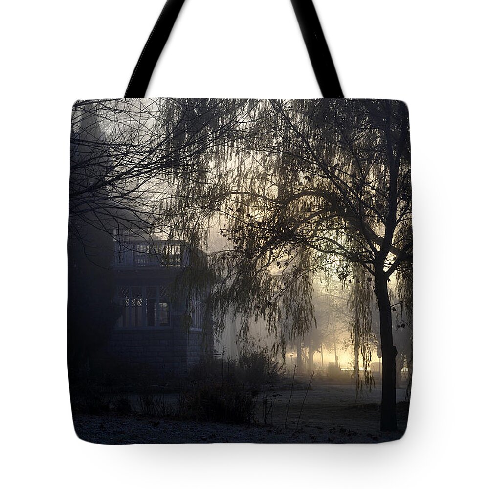 Fog Tote Bag featuring the photograph Willow in Fog by Tim Nyberg