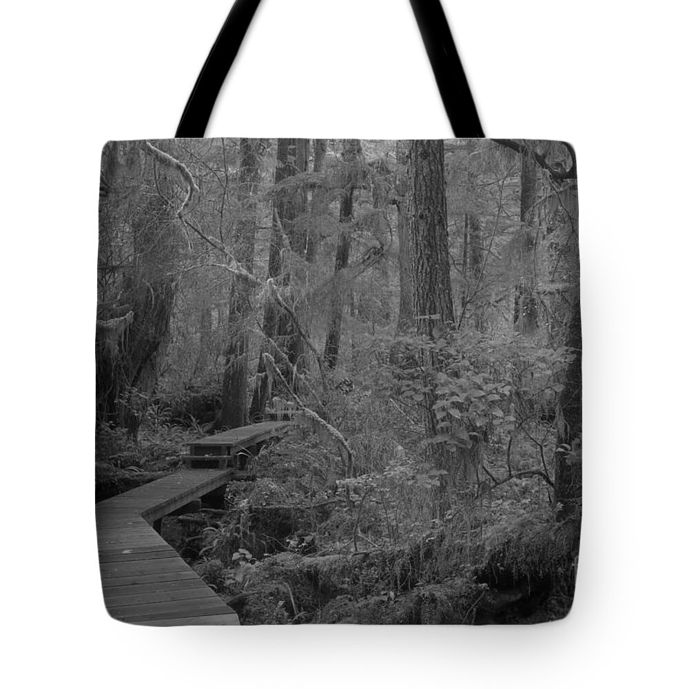 Black And White Tote Bag featuring the photograph Willowbrae Rainforest Black And White by Adam Jewell