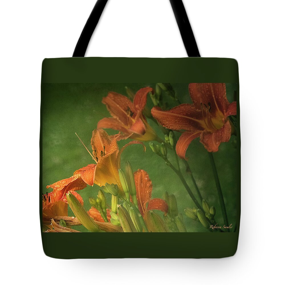 Rain Tote Bag featuring the photograph Wind Blown and Rain Spattered by Rebecca Samler