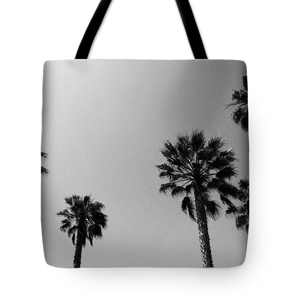 Palm Trees Tote Bag featuring the photograph Wind In The Palms- by Linda Woods by Linda Woods