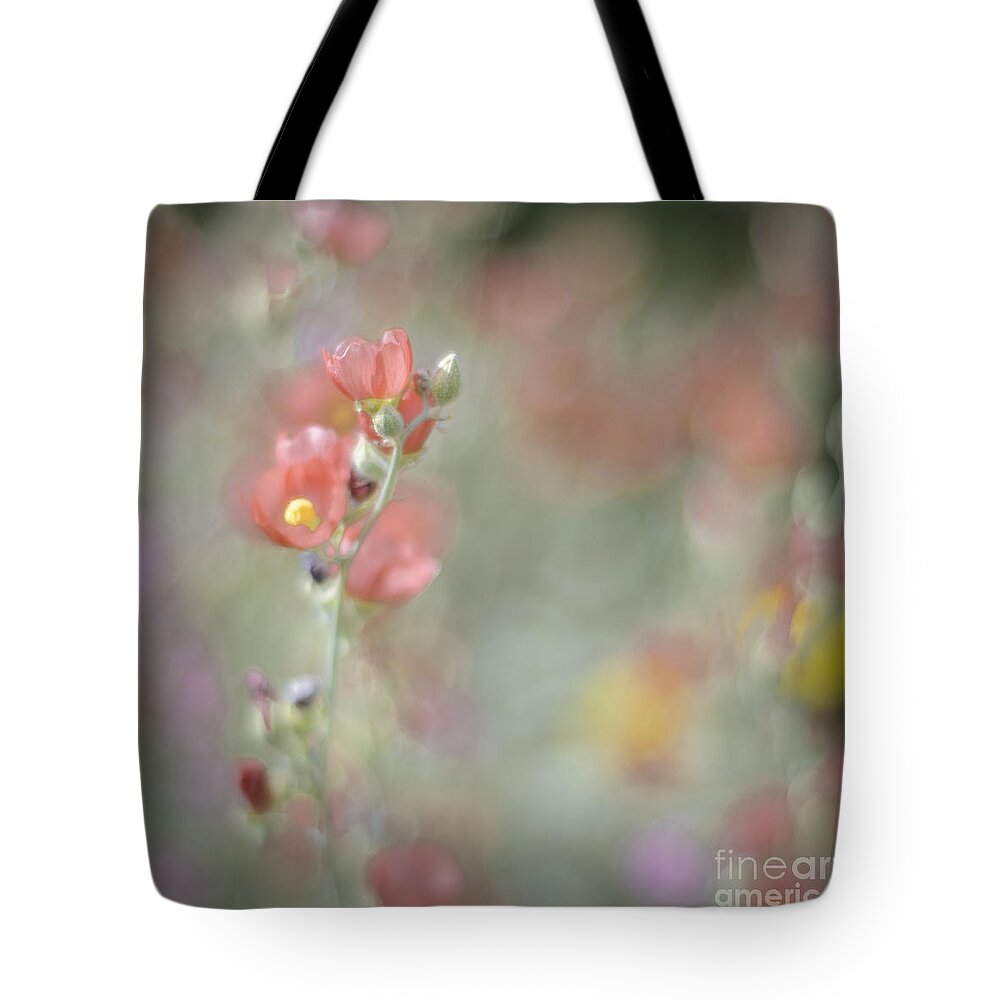 Wildflowers Tote Bag featuring the photograph Globemallow Impressionism by Tamara Becker
