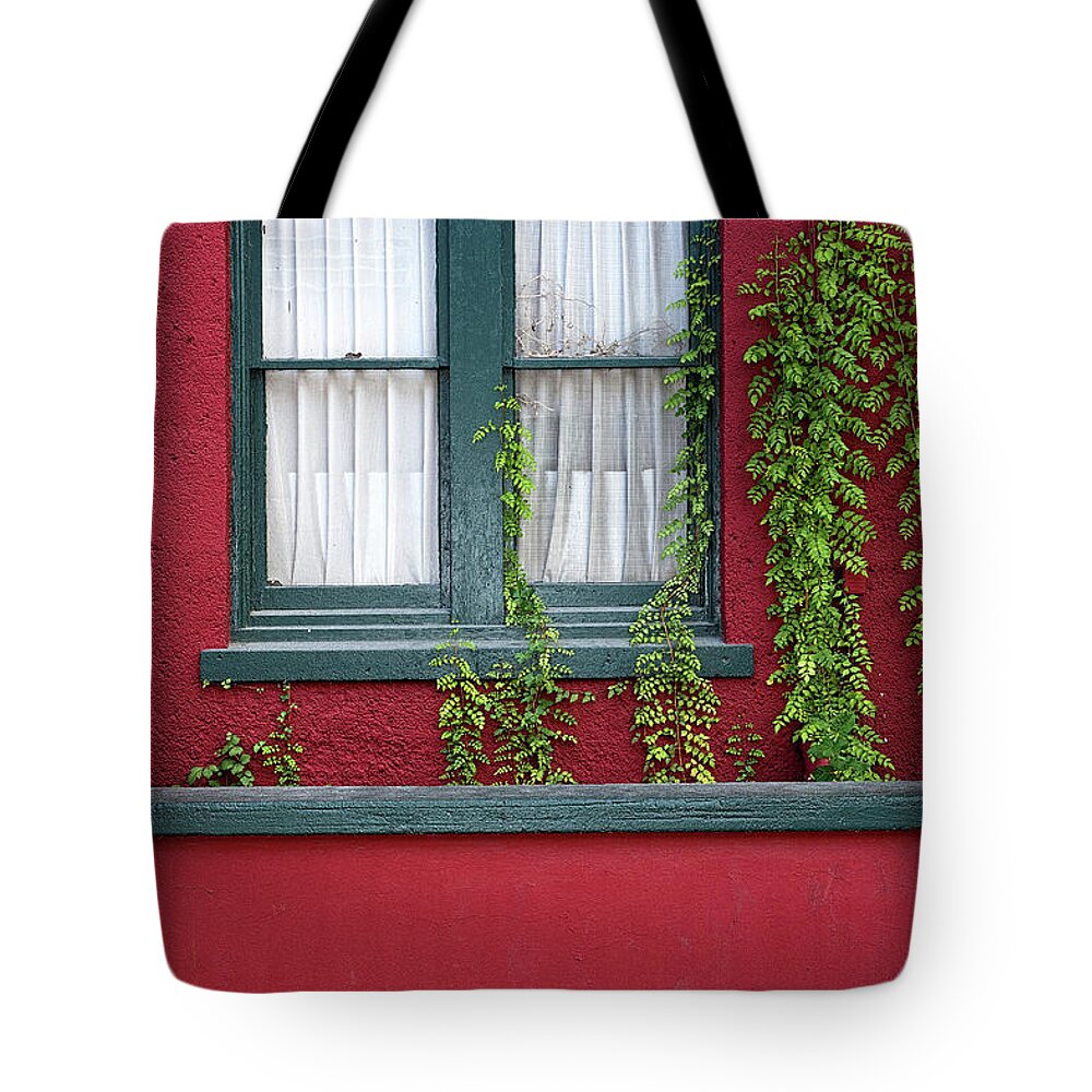 Window Tote Bag featuring the photograph Window and VInes by Christopher Holmes