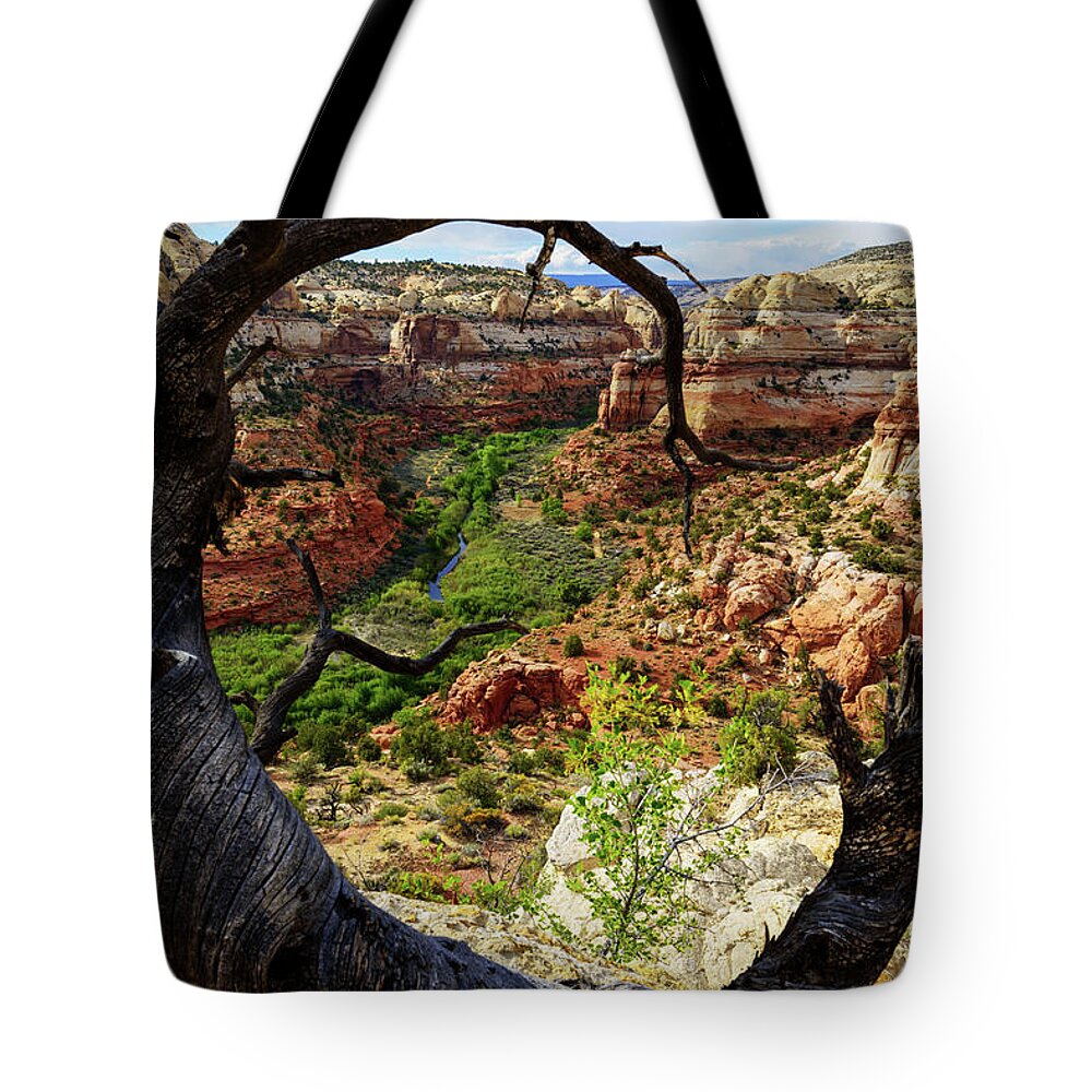 Chad Dutson Tote Bag featuring the photograph Window by Chad Dutson