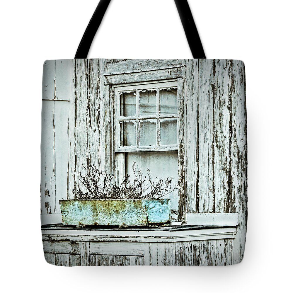House Tote Bag featuring the photograph Window Garden by Cathy Kovarik