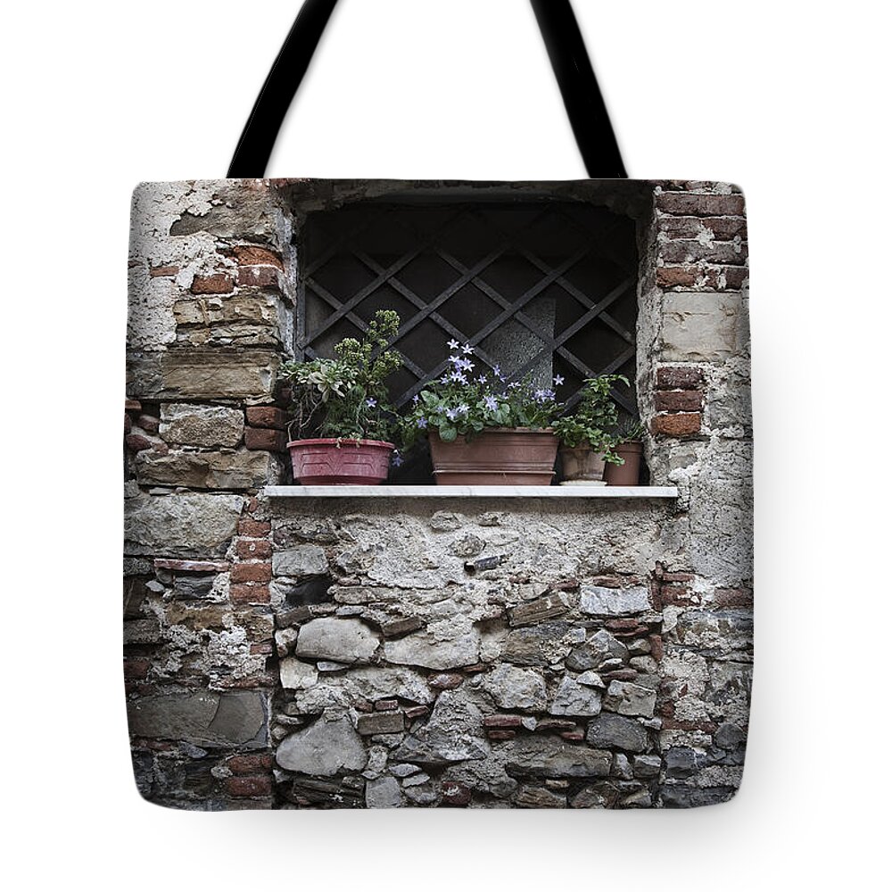 Abandoned Tote Bag featuring the photograph Window by Maria Heyens