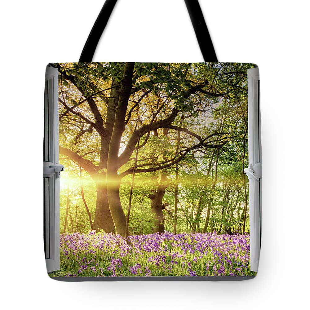 Window Tote Bag featuring the photograph Window open onto bluebell forest sunrise by Simon Bratt
