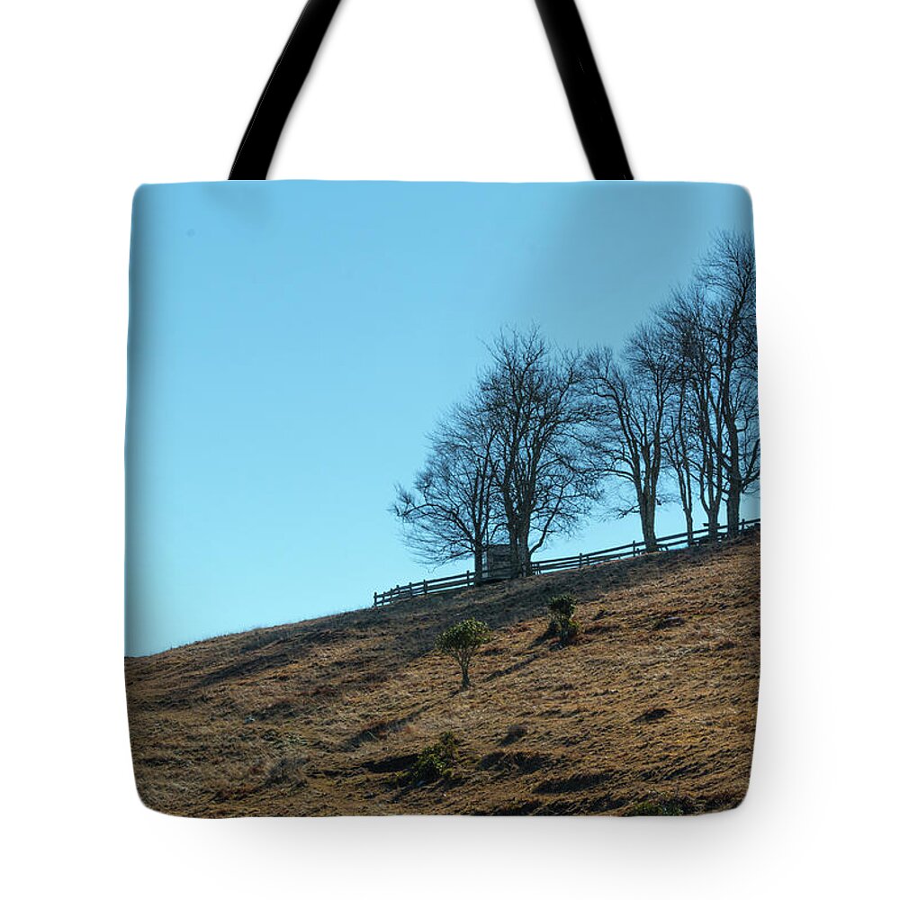 Windswept Tote Bag featuring the photograph Windswept Trees - December 7 2016 by D K Wall