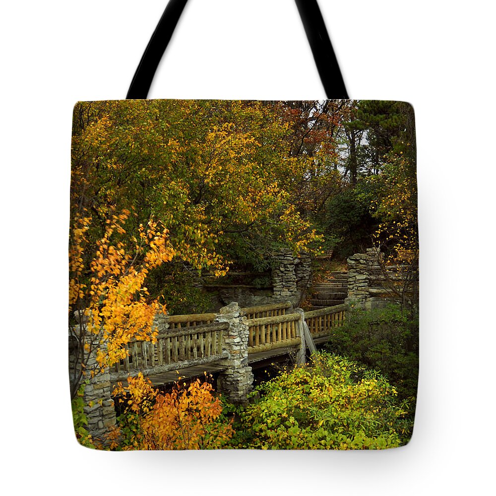 Appalachia Tote Bag featuring the photograph Windy Day at Cooper's Rock by Amanda Jones