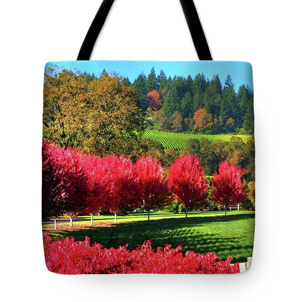 Fall Tote Bag featuring the photograph Winery Driveway 19864 20 x 14 by Jerry Sodorff