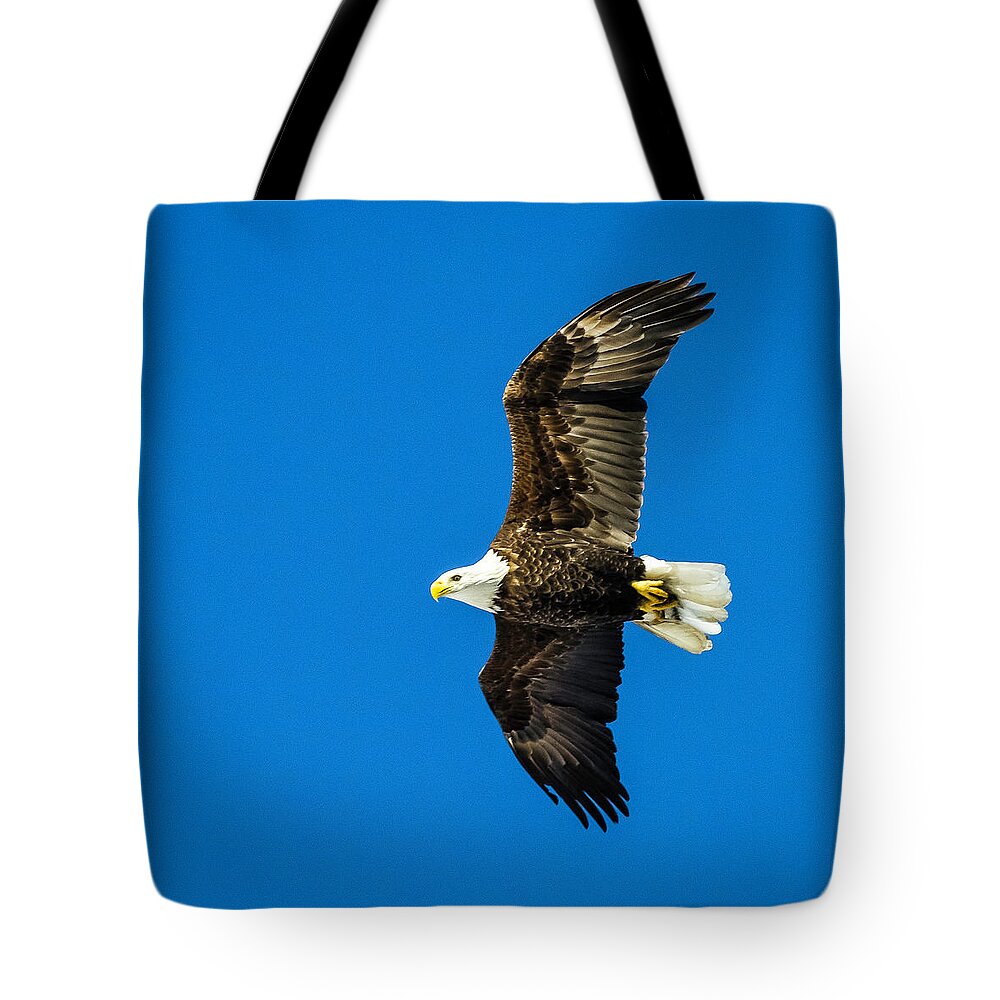 Eagle Tote Bag featuring the photograph Winging Home for Dinner by John Roach