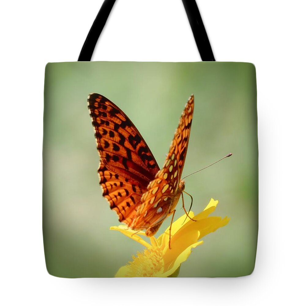 Fritillary Butterfly Tote Bag featuring the photograph Wings Up - Butterfly by MTBobbins Photography