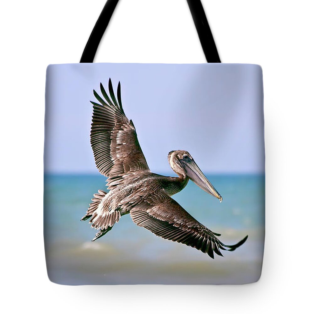 Wingspan Tote Bags