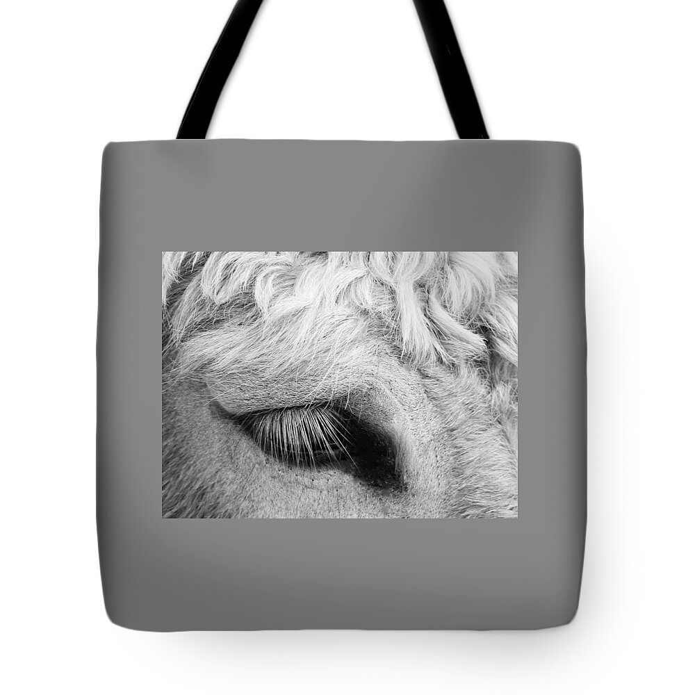 Equine Tote Bag featuring the photograph Winking At Ya' by Jan Gelders