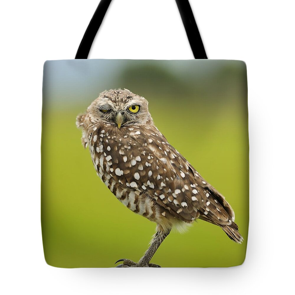 Owl Tote Bag featuring the photograph Winking Owl by Bradford Martin