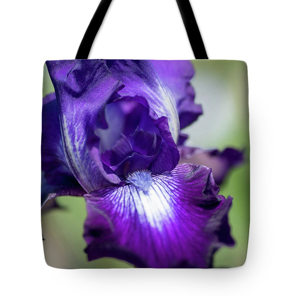 Iridaceae Tote Bag featuring the photograph Winners Circle Macro. The Beauty of Irises by Jenny Rainbow
