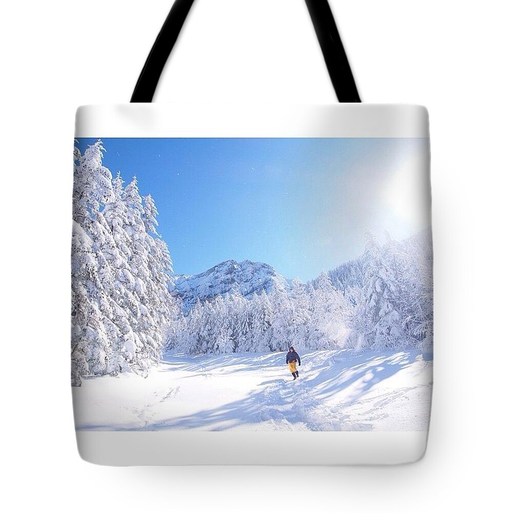 Beautiful Tote Bag featuring the photograph Winteradventure by Moto Moto