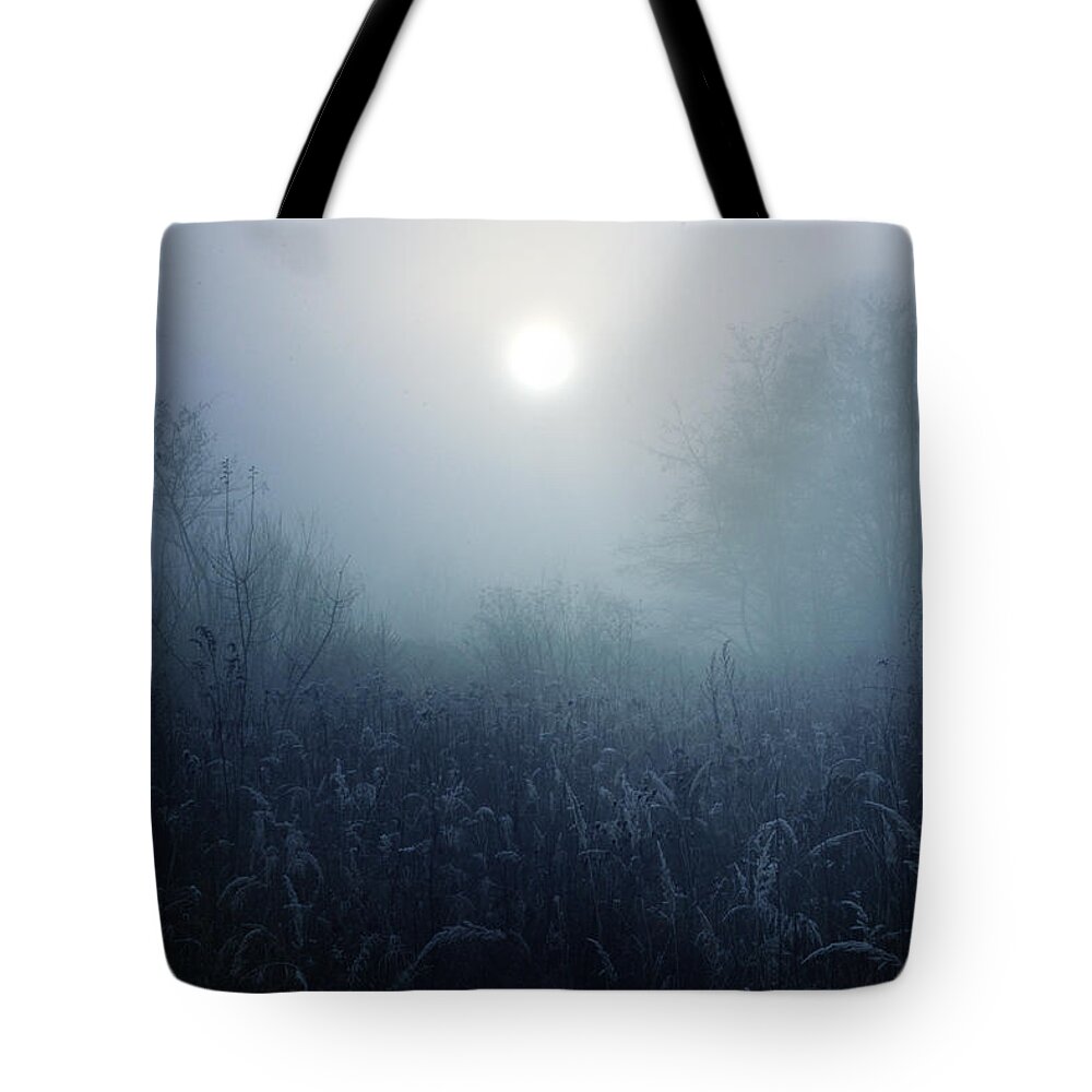 Winter Tote Bag featuring the photograph Winter afternoon - Poland by Cambion Art