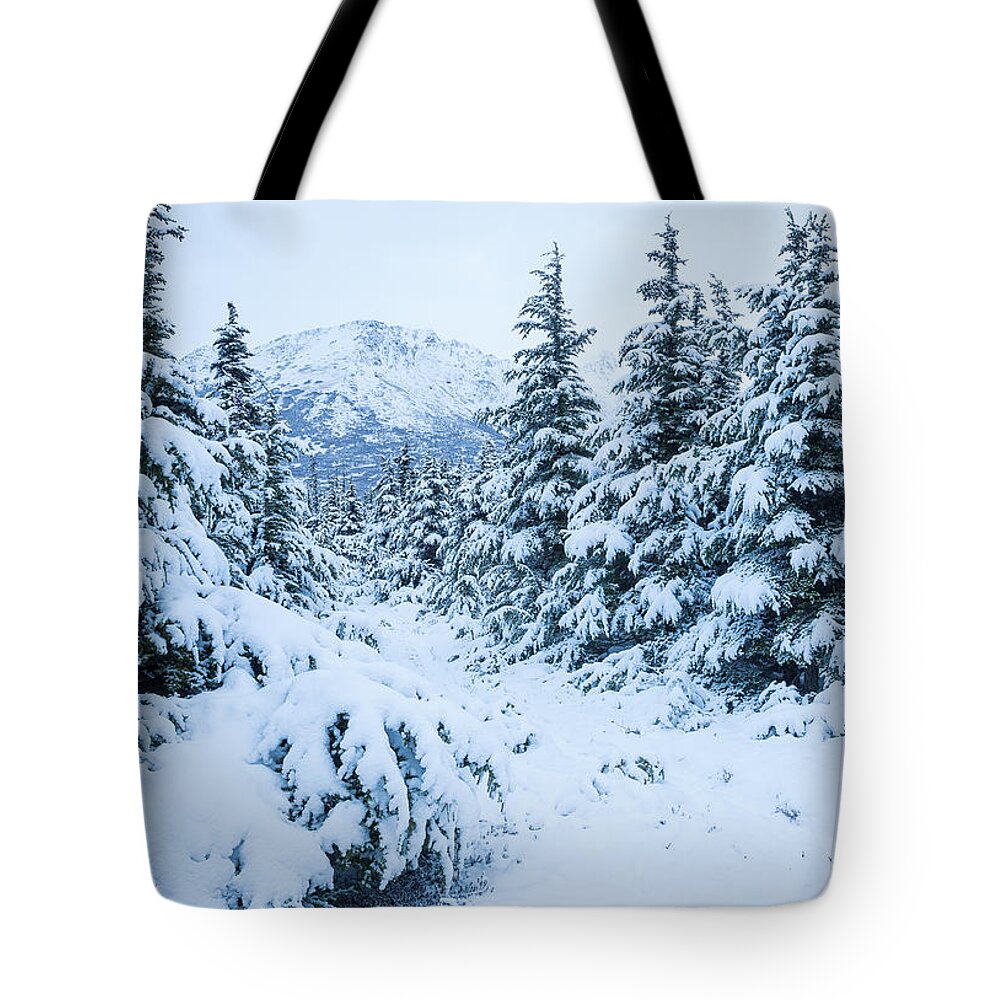 Winter Tote Bag featuring the photograph Winter Arrives by Tim Newton