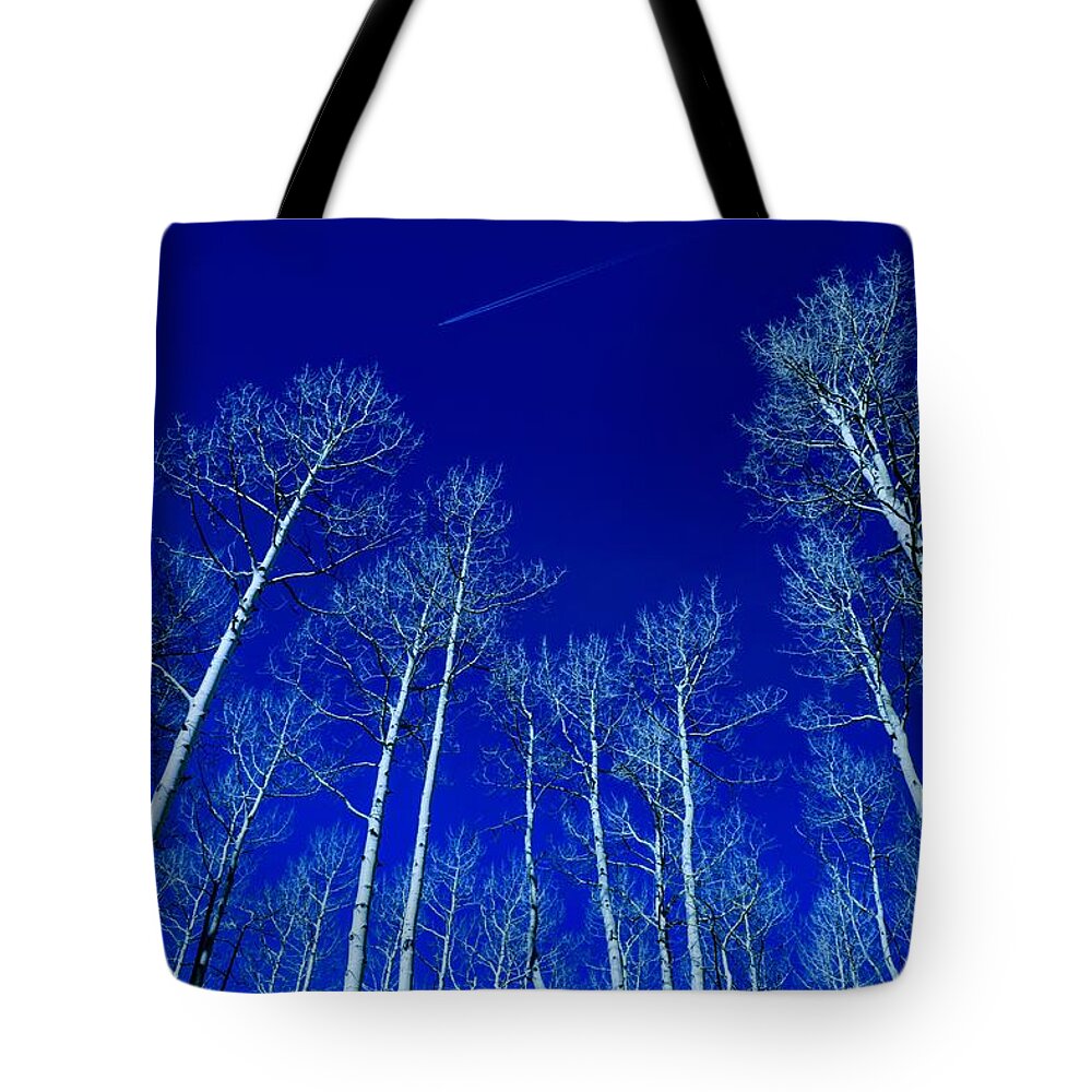 Winter Aspen Trees Tote Bag featuring the photograph Winter Aspen Trees by Michael Brungardt