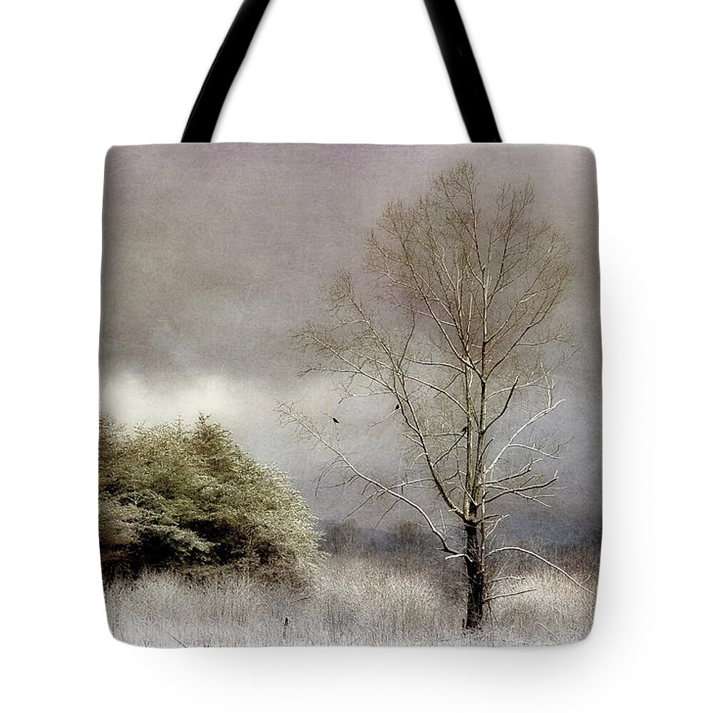 Winter Trees Tote Bag featuring the photograph Winter Beginning by Michael Eingle
