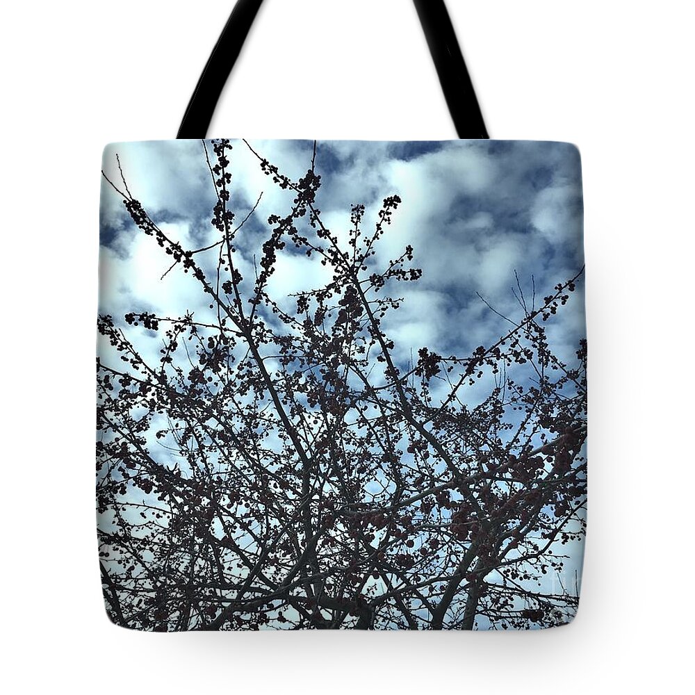 Berries Tote Bag featuring the photograph Winter Berries 2 by Onedayoneimage Photography