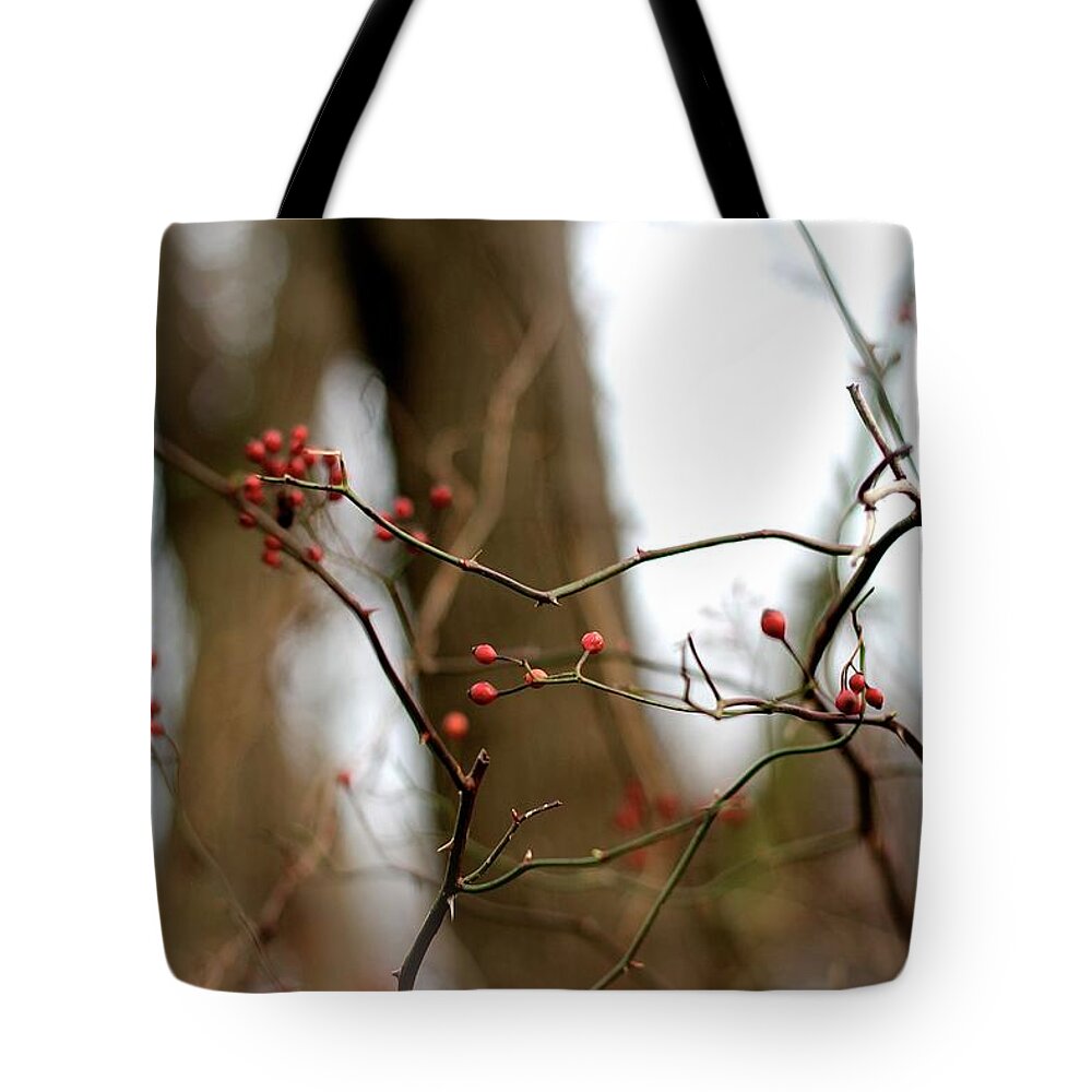 Nature Tote Bag featuring the photograph Winter Berries by Tracy Male