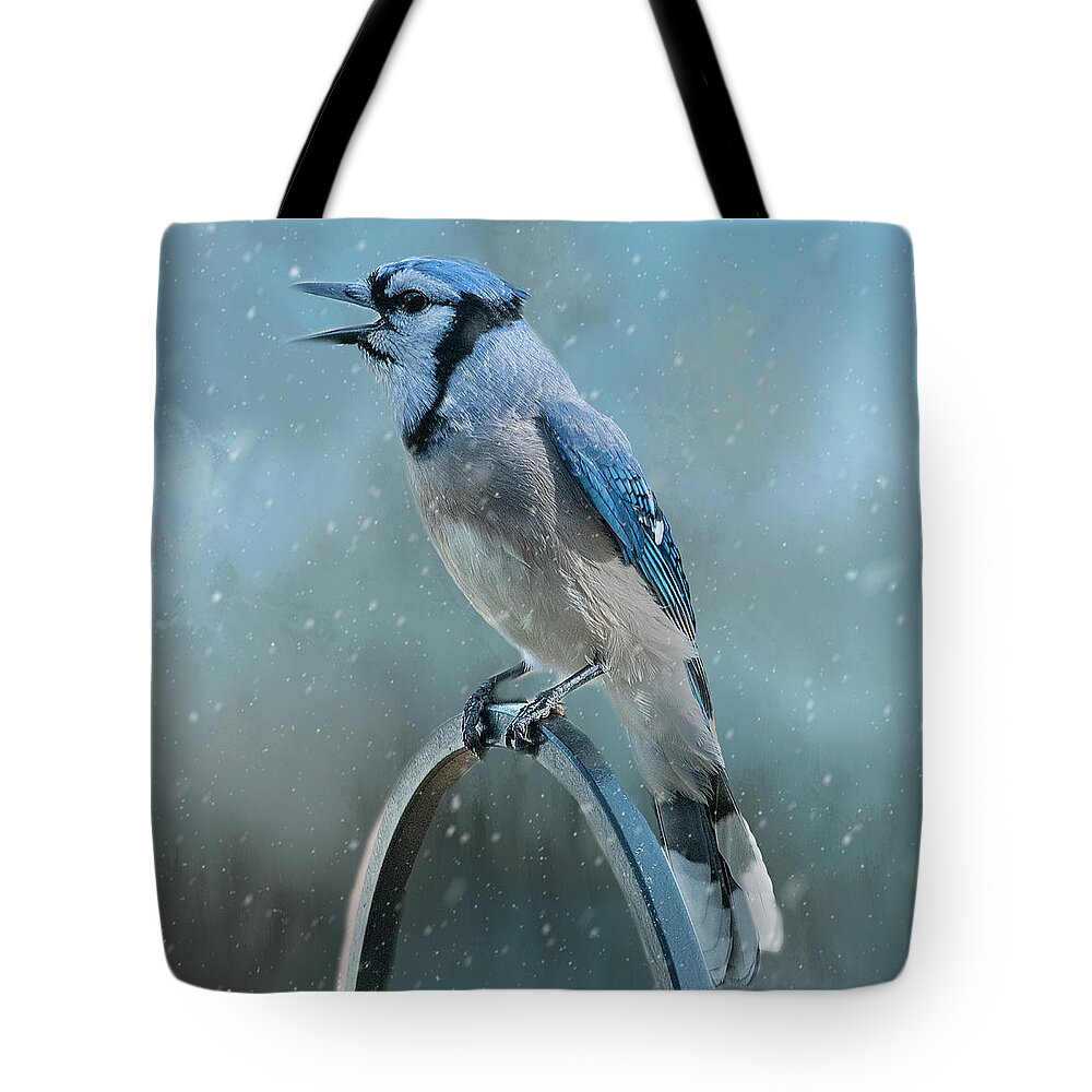 Blue Jay Tote Bag featuring the photograph Winter Blue Jay Square by Cathy Kovarik