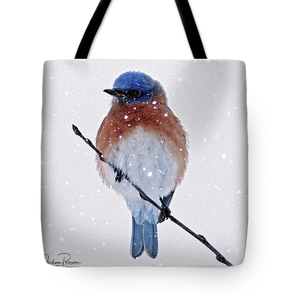 Bluebird Tote Bag featuring the photograph Winter Bluebird by Jackson Pearson