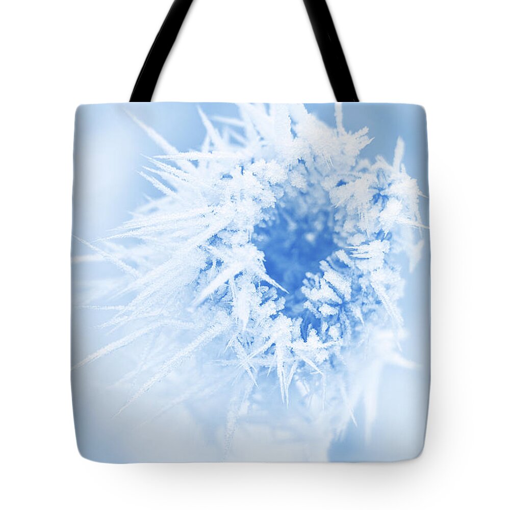 Winter Tote Bag featuring the photograph Winter Blues by Iryna Goodall