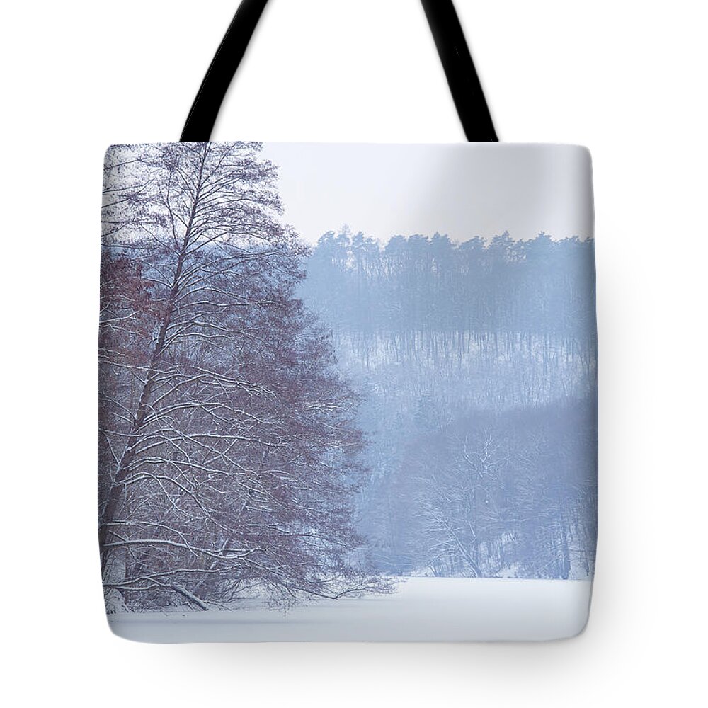 Jenny Rainbow Fine Art Photography Tote Bag featuring the photograph Winter Blues by Jenny Rainbow