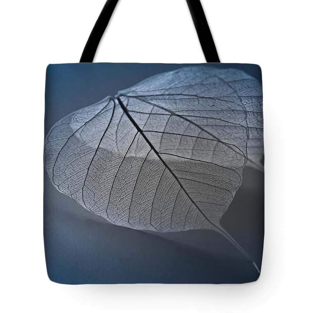 Winter Tote Bag featuring the photograph Winter Blues by Maggie Terlecki