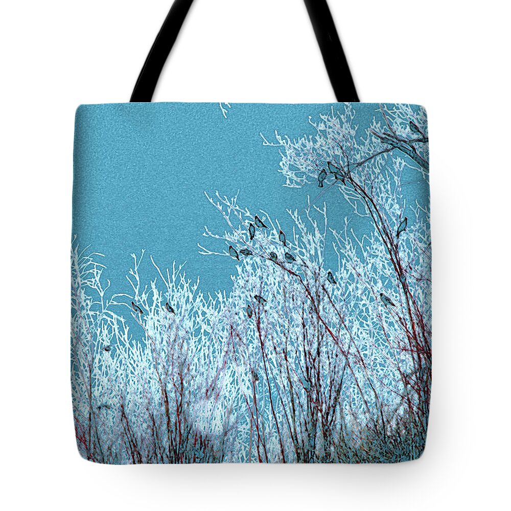 Bird Tote Bag featuring the photograph Winter Bohemians by Kathy Bassett