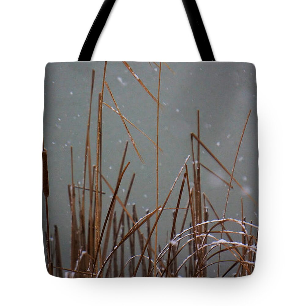 Reeds Tote Bag featuring the photograph Winter Cat Tail by Brooke Bowdren