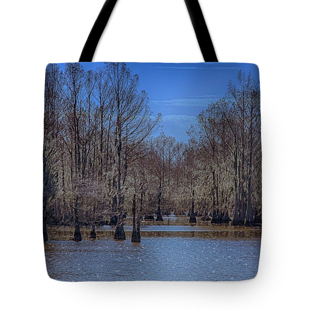 Blue Tote Bag featuring the photograph Winter Colors by Jim Cook