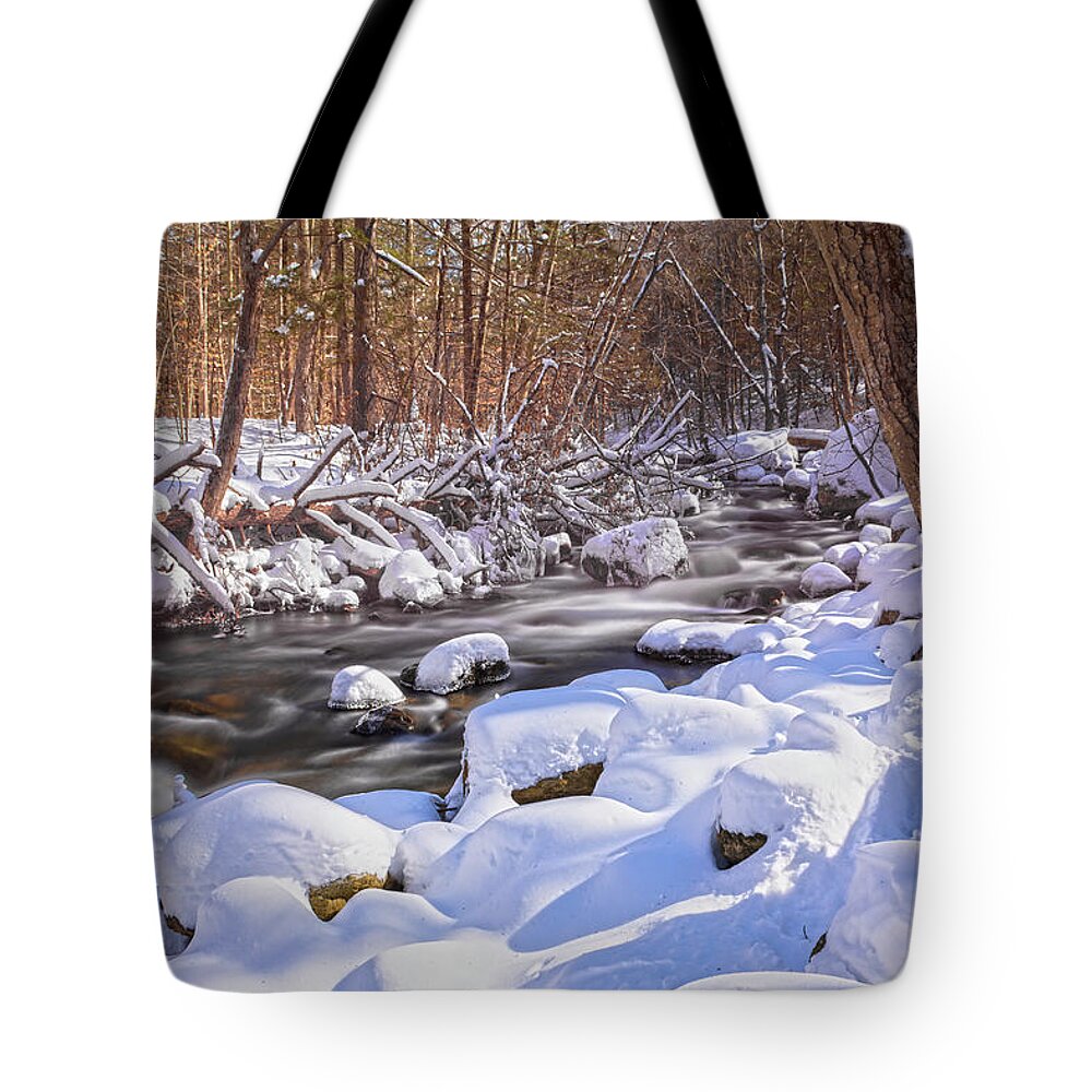 Winter Tote Bag featuring the photograph Winter Crisp by Angelo Marcialis