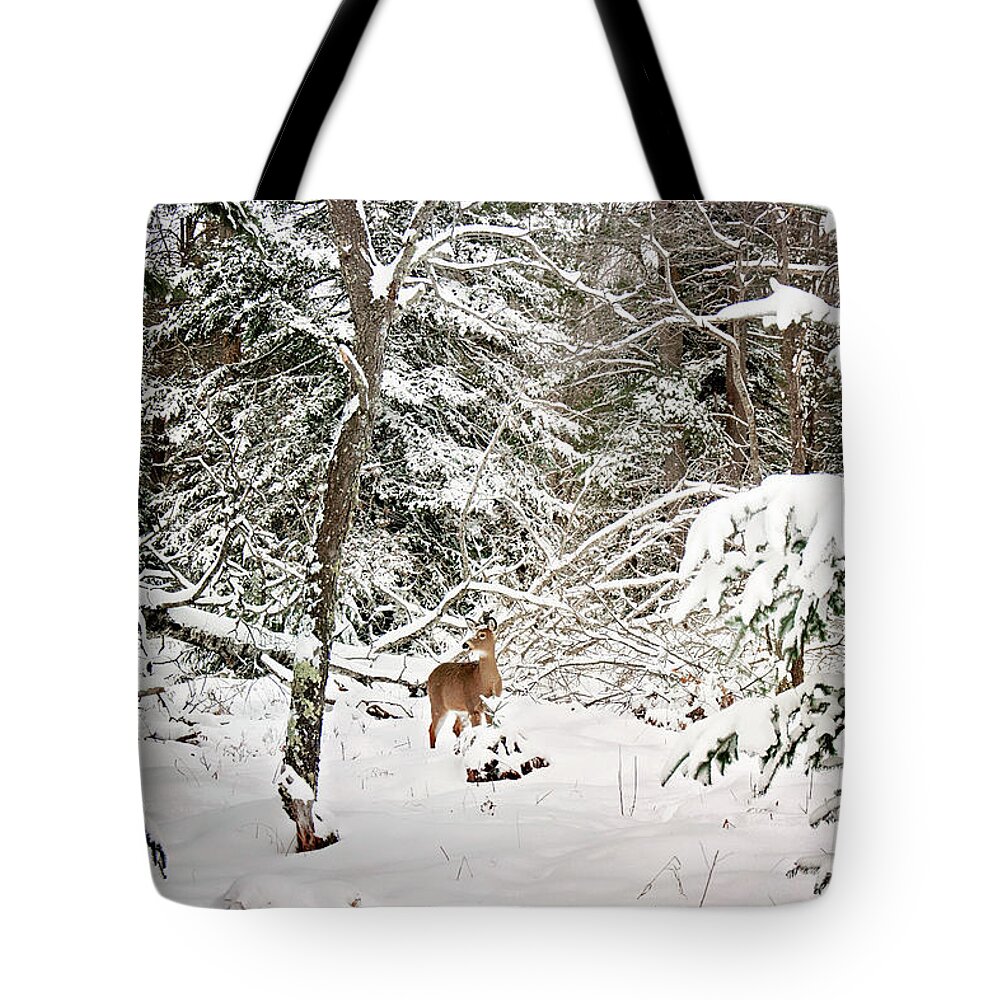 Winter Deer In The Forest Print Tote Bag featuring the photograph Winter Deer in the Forest by Gwen Gibson