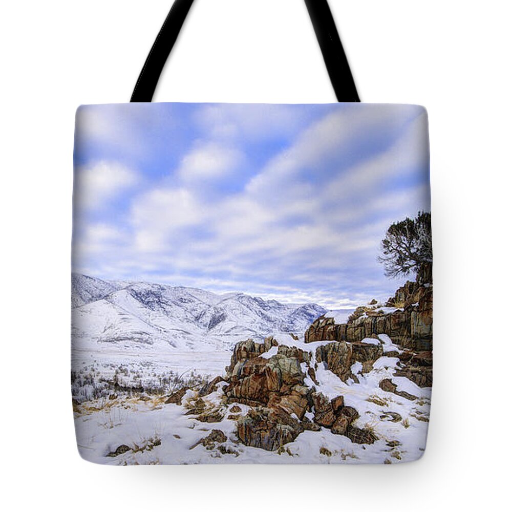 Winter Desert Tote Bag featuring the photograph Winter Desert by Chad Dutson