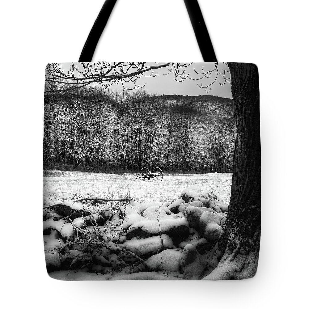 Square Tote Bag featuring the photograph Winter dreary Square by Bill Wakeley