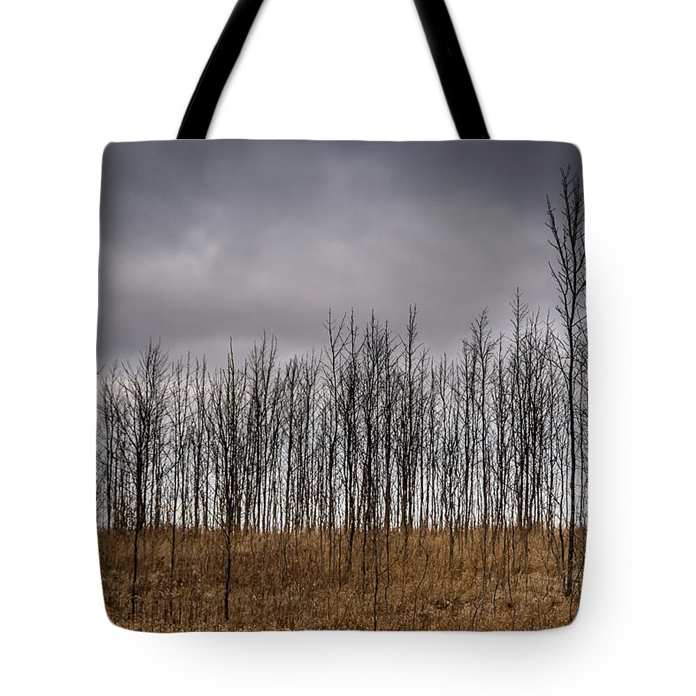 Park Tote Bag featuring the photograph Winter dry by SAURAVphoto Online Store